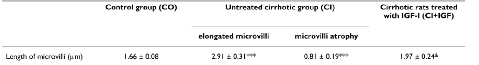 Table 3: Morphometric study of microvilli in animals with advanced liver cirrhosis.