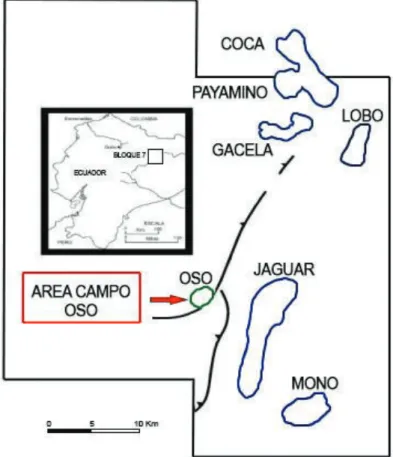 Figura 1.2 LÍMITES GEOGRÁFICAS DEL CAMPO OSO 