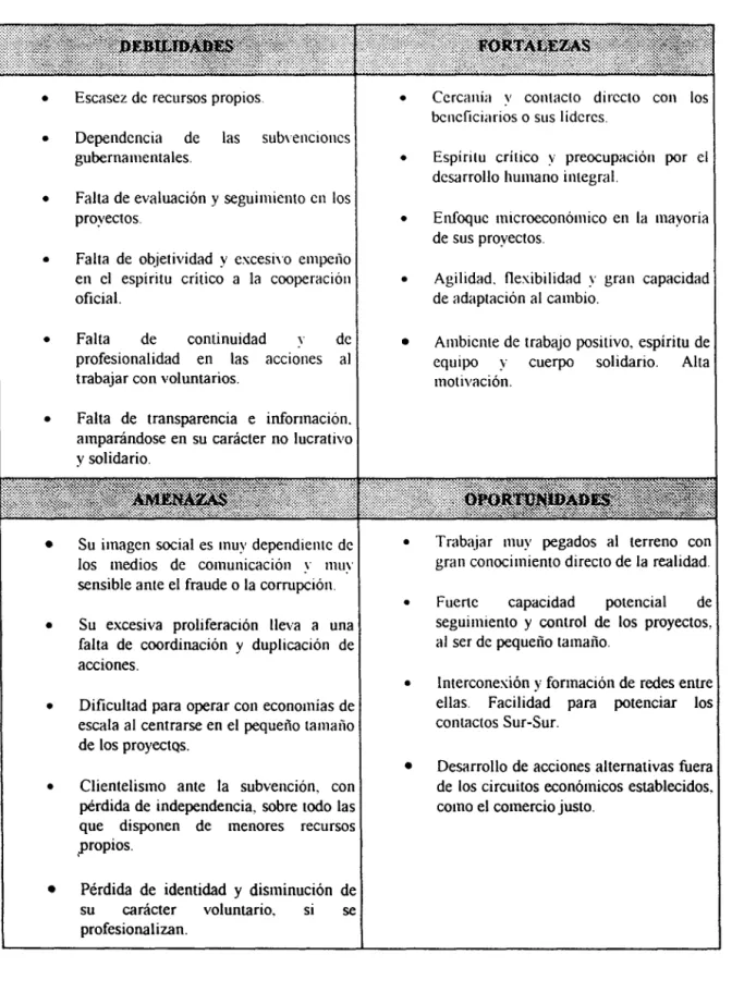 Cuadro 2.3.  Matriz DAFO de las ONGD CSJlañolas. 