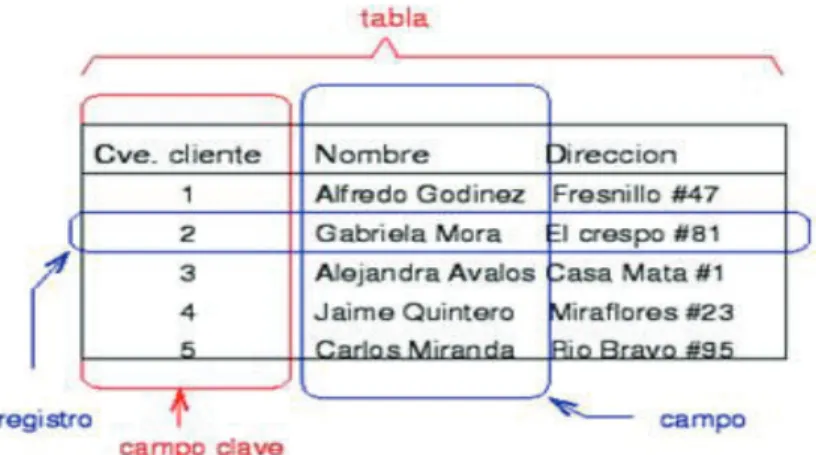 Figura 1.18 Representación de un archivo en una base de datos [22] 
