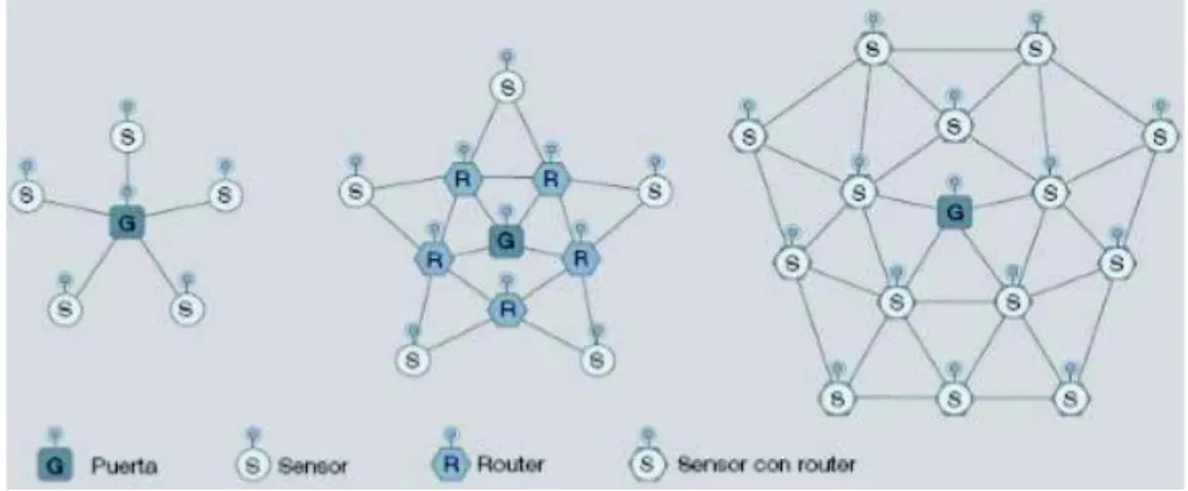 Figura 1.2. Topología [3] 
