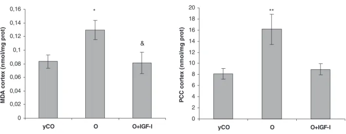 Figure 6 summarizes the MMP, which is considered a good marker of the mitochondrial functionality, with different substrates
