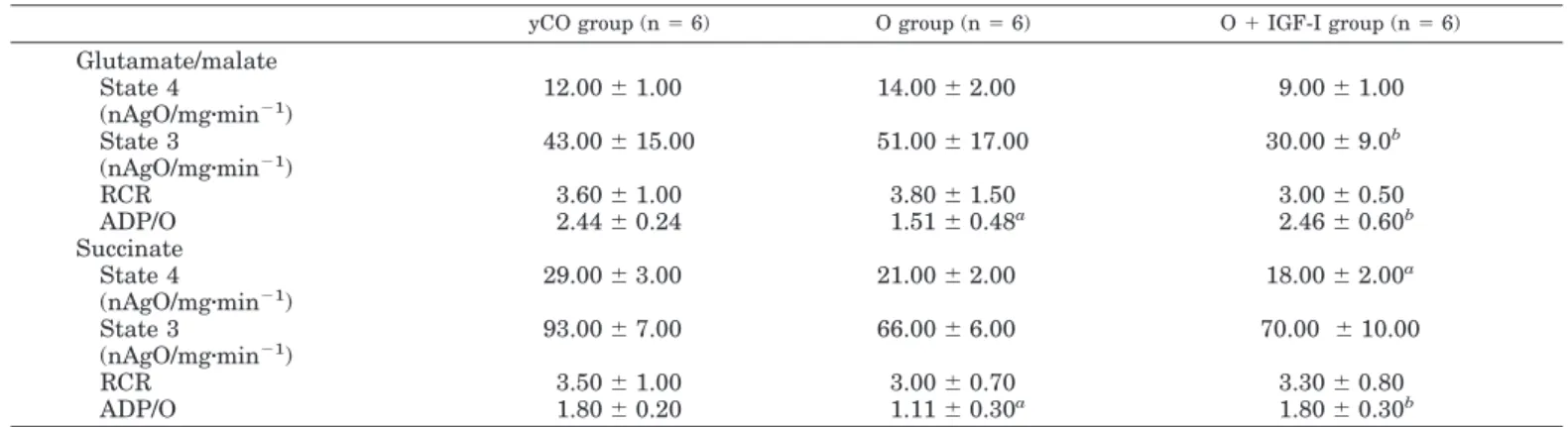 TABLE 1. MMP (expressed as AU of FL) in isolated liver mitochondria with different substrates from the three experimental groups