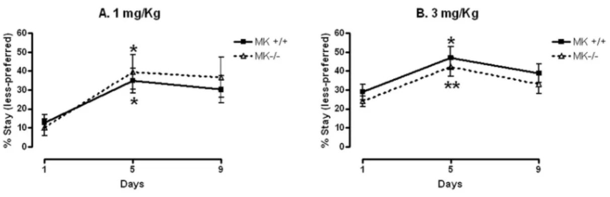 Fig.  1.  Amphetamine-induced  place  preference.  (A)  Results  are  presented  as  the  mean  ±  SEM  of  the  percentage  of  the  time  spent  by  MK+/+  and  MK-/-  mice  in  the  drug-paired  (less-preferred)  compartment  during  preconditioning  (d
