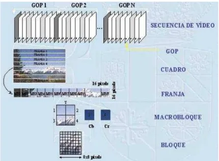 Figura 1.2 Estructura de las capas de MPEG 