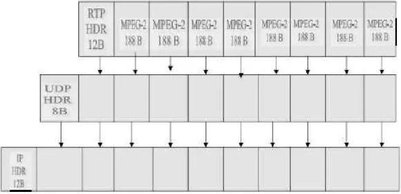 Figura 1.7 Proceso de encapsulación de video en datagramas IP 