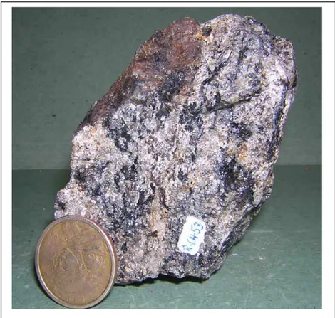 Foto 12.- Muestra  M-CH-12 de brecha de cuarzo-turmalina en la granodiorita de  Tuntún