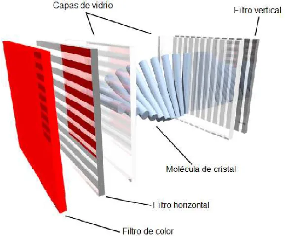 Figura 1.4 Subpixel de un LCD de color. 