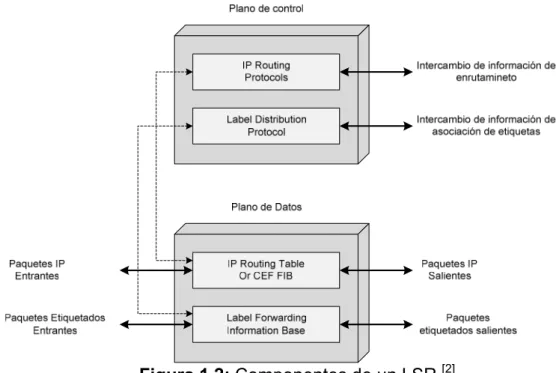Figura 1.2: Componentes de un LSR  [2]