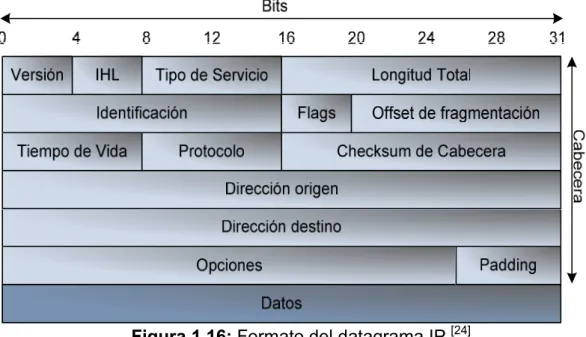Figura 1.16: Formato del datagrama IP  [24]