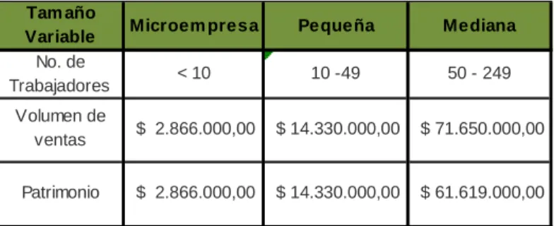 Tabla 14 Determinación  de tamaño por variables 
