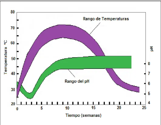 Figura 1.12. Representación gráfica teórica de la variación del pH y la temperatura en  función del tiempo