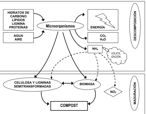 Figura 4. Esquema del proceso de compostaje 