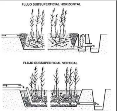Figura 11. Esquema de humedales construidos de flujo subsuperficial   con flujo horizontal y con flujo vertical