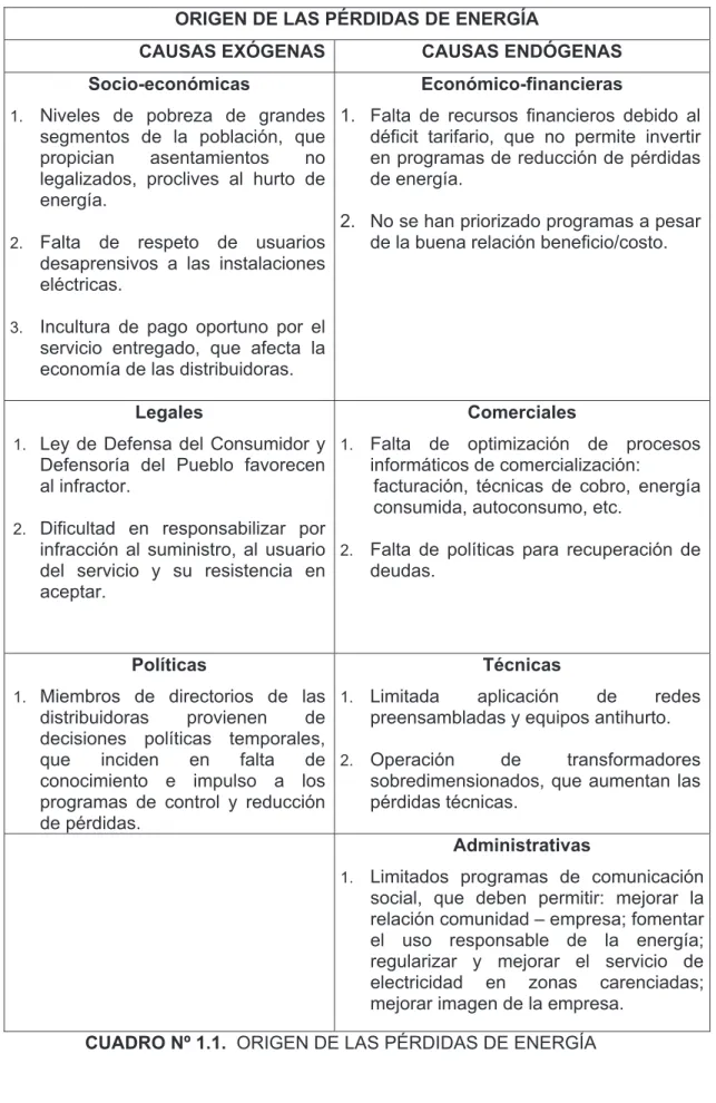 CUADRO Nº 1.1.  ORIGEN DE LAS PÉRDIDAS DE ENERGÍA 