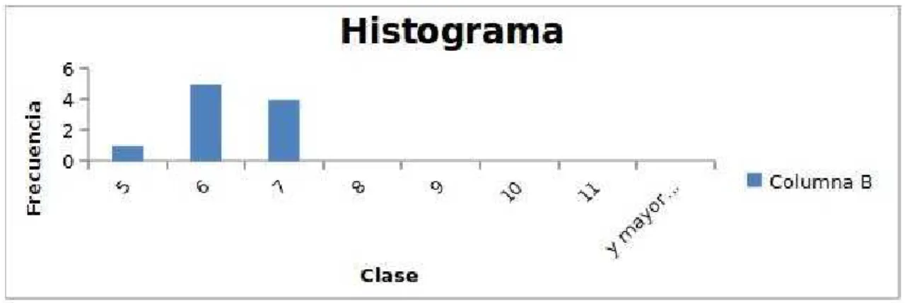 Figura 2.2: Histograma 1