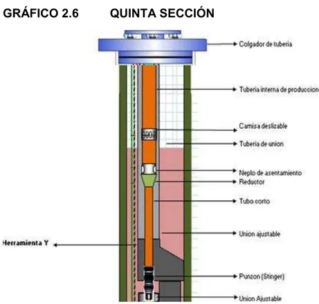 GRÁFICO 2.6  QUINTA SECCIÓN 