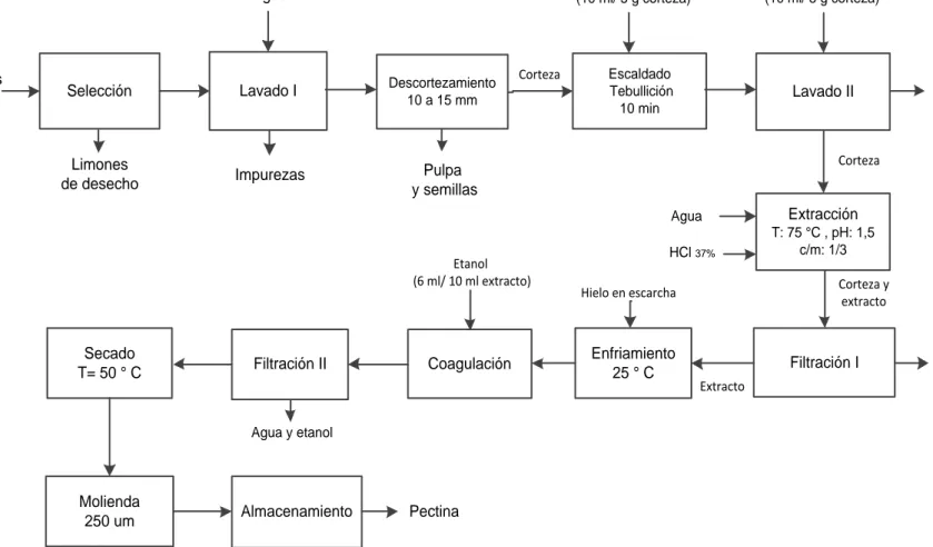 Figura 3. 8. Esquema de la secuencia de operaciones unitarias para la obtención de pectina del limón Tahití o Persa a escala de laboratorio