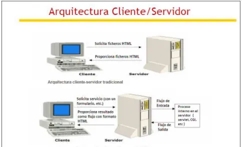 Fig. 7 -Arquitectura Cliente/Servidor (obtenida de 15 )