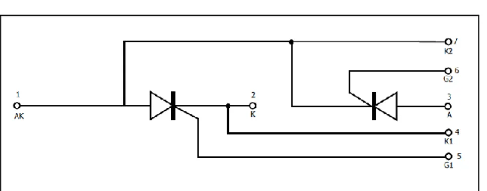 Figura 1.7 Diagrama interno de un módulo SCR. 8 Tarjeta de control del rectificador 