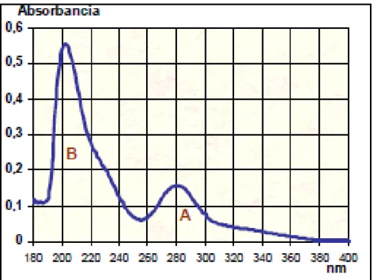 Figura 1.7. Espectro UV-Visible característico de la lignina que presenta dos longitudes de  onda de máxima absorbancia: 280 y 200 nm 