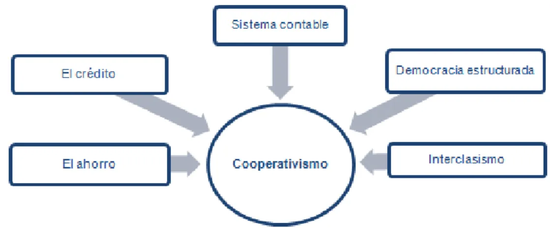 Figura 2.6. - Elementos del cooperativismo considerados en Salinas 