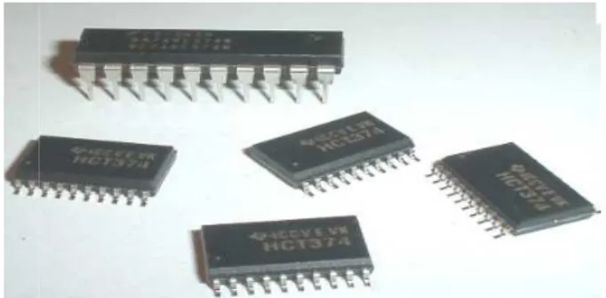 Figura 1.11: El circuito integrado 