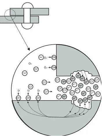 Figura 1.4. Ilustración esquemática del mecanismo de aireación diferencial entre dos  láminas atornilladas 