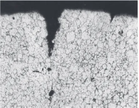 Figura 1.6. Fotografía microscópica de la corrosión intergranular del zinc 
