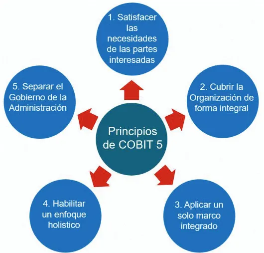 Figura 7  Principios de COBIT 5 