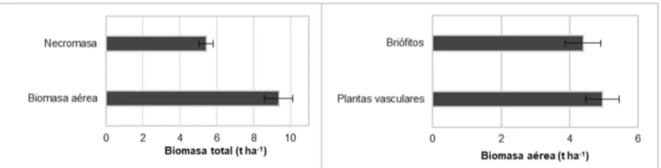 Figura 5. Valores medios de biomasa aérea en relación a los componentes plantas vasculares y briófitos