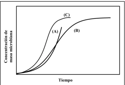 Figura 1.2. Perfiles cinéticos característicos de los modelos (A) exponencial (B) logístico  y (C) Monod para la modalidad de operación por lotes 
