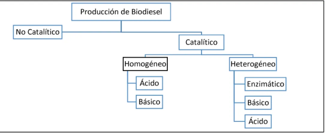 Figura 1.4. Métodos de producción de biodiesel. 