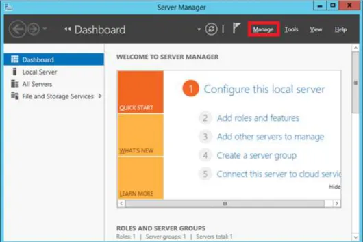 Figura 2.21 Server Manager 