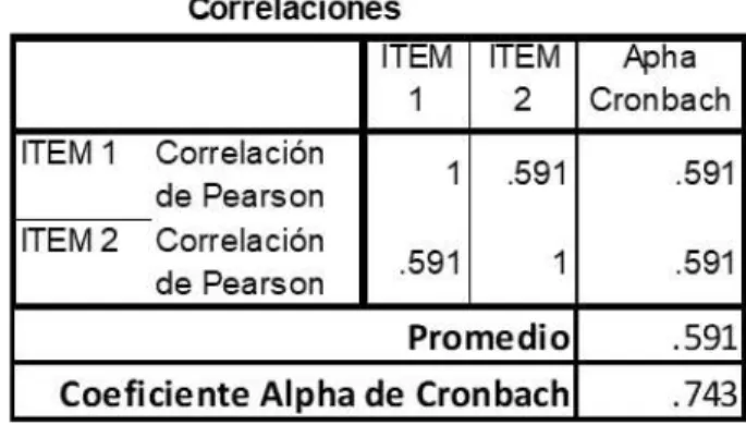 Tabla 7 Análisis de correlación y Alpha Cronbach sección 1. Datos de identificación de la  empresa
