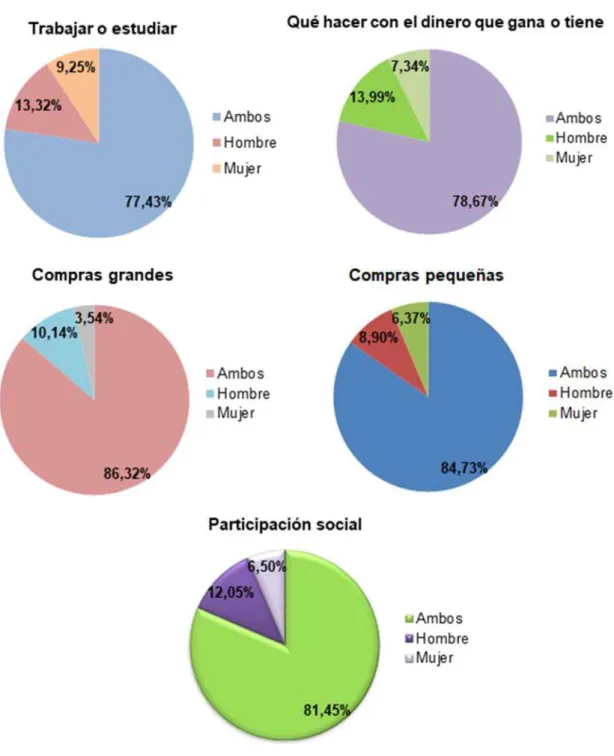 Figura 1: Participación en la toma de decisiones 