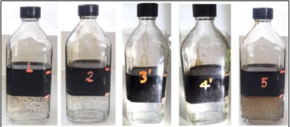 Figura 11. Prueba de emulsión Pozo-x1 Reservorio U  (Fuente: Empresa Servicios Petroleros, 2018) 