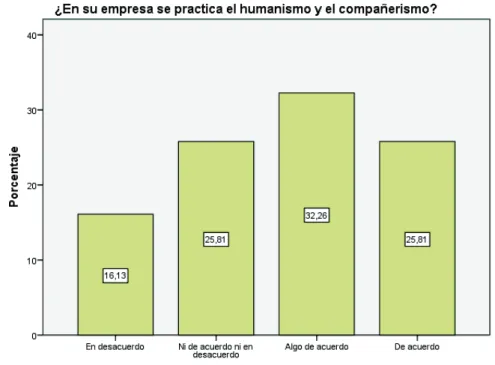 Figura 20 – Pregunta 13 