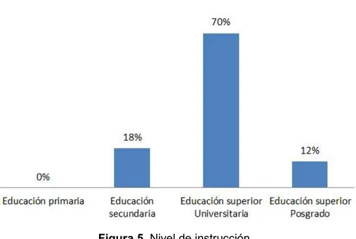 Figura 5. Nivel de instrucción  Elaboración propia 