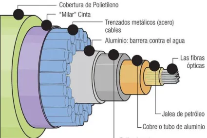 Figura 1.14. Vista lateral del cable submarino [14] 