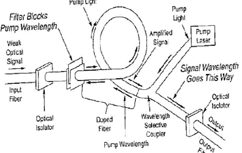 Figura 1.28. Estructura interna de un amplificador EDFA [3] 