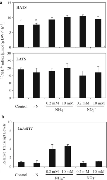 Fig. 5 InXuence of a re-supply of diVerent concentrations and sources of nitrogen on both the  15 NH 4 +  in Xux and the CitAMT1 gene expression under de-induction conditions