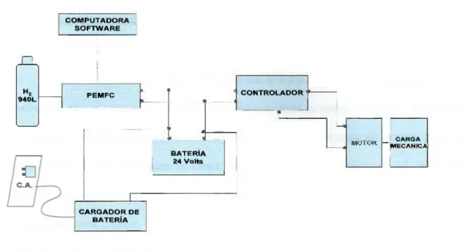 Figura 3. Representación esquemática de la secuencia de los componentes de  nuestro sistema