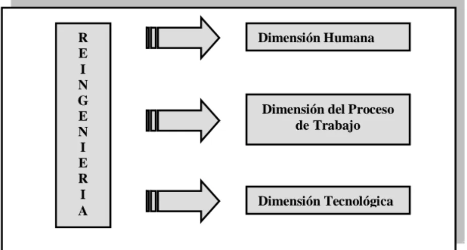 GRÁFICO 3-5: Enfoque de la Reingeniería 