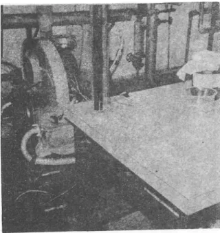 Figura No. 10 