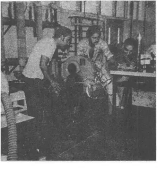Figura No. 12 