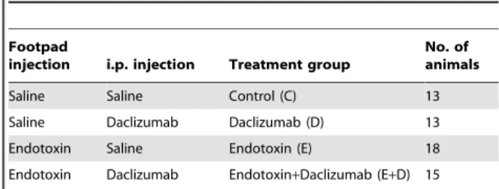 Table 1. Summary of treatment groups.