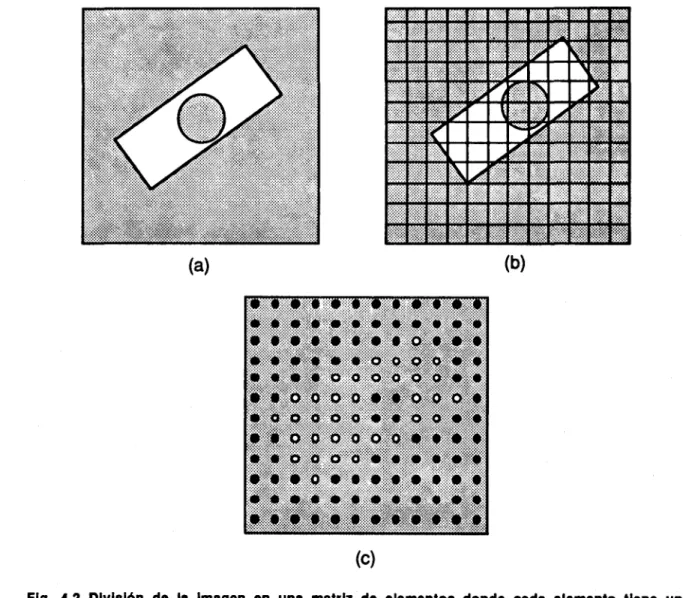 Fig. 4.2 División da la Imagen en una matriz de elementos donde cada elemento tiene un  valor da Intensidad correspondiente a la porción da la imagen, (a) La escena; 