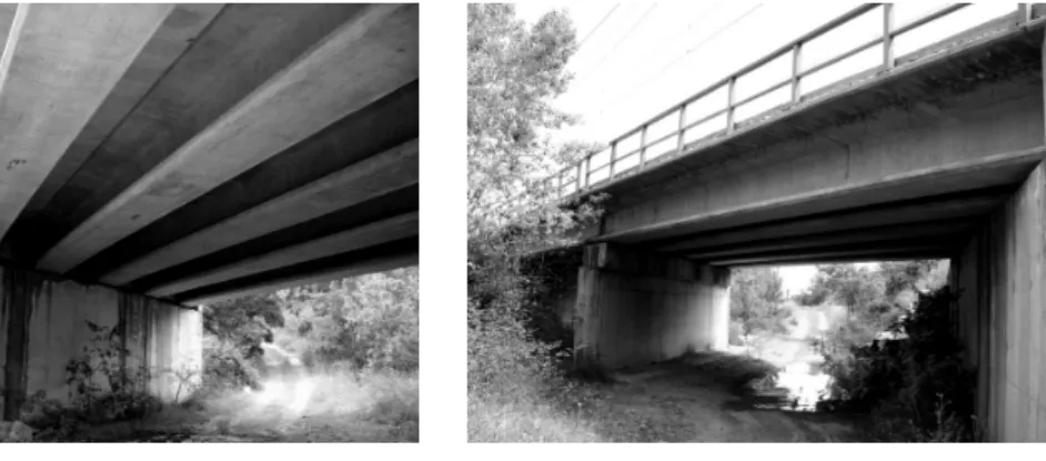 Figure 1: Railway bridge in High Speed line composed by short simply supported bays