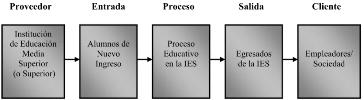 Figura 2.1 Proceso de la Educación Superior (Adaptado de Doherty, 1997). 